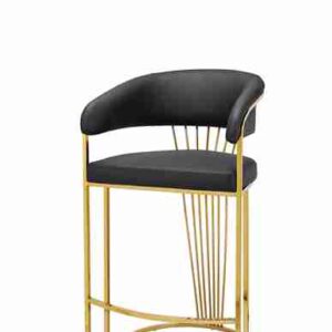 Posh Black with Gold bar stool